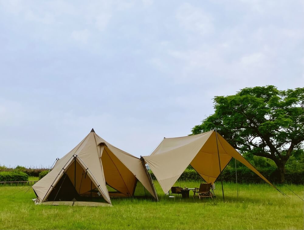 ゼインアーツの新作、ゲウTCを徹底レビュー！かっこいいは正義よね