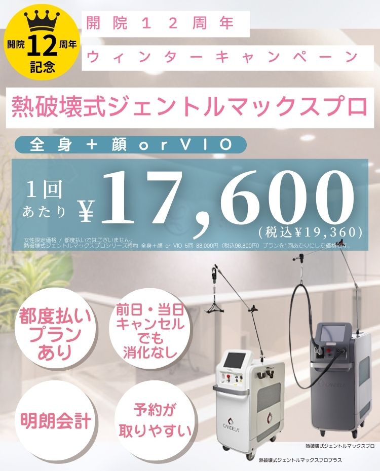 都度払いプランあり。高品質で低価格の医療レーザー脱毛なら美容皮膚科