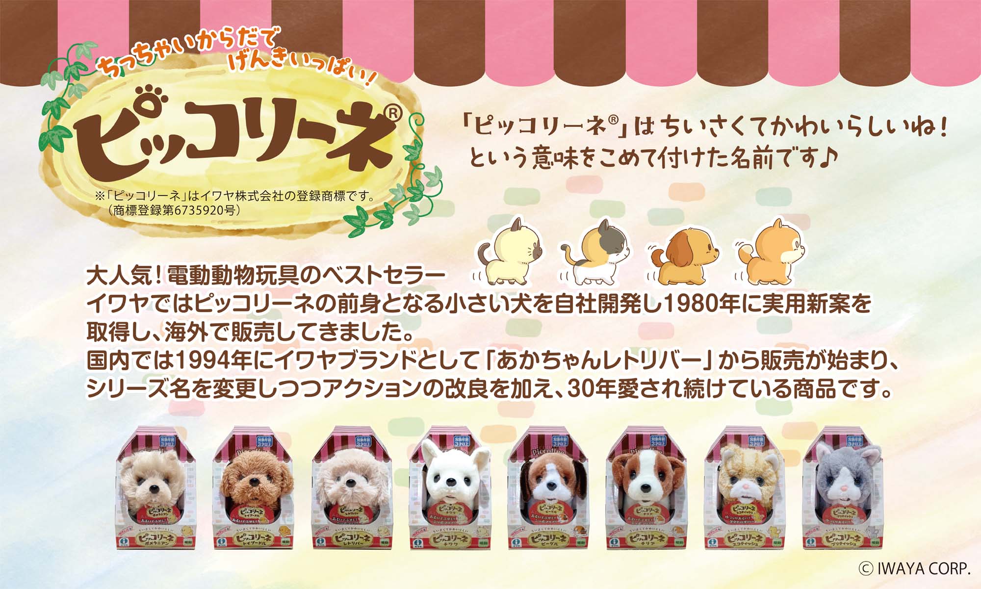 ピッコリーネシリーズ