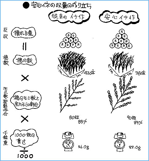 コシヒカリ 安定多収・良質の稲栽培法の基本｜稲編｜農作業便利帖