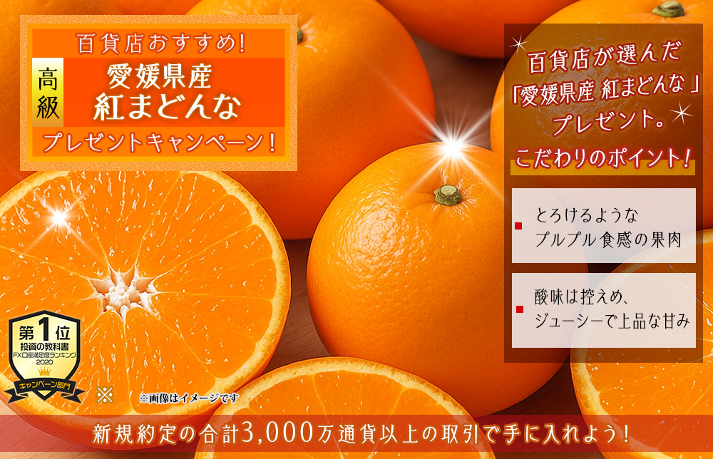 愛媛県産紅まどんなプレゼントキャンペーン!【JFX】