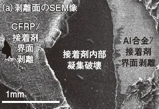 微細構造を明らかにする物理解析（19） / 電子顕微鏡による異種材料