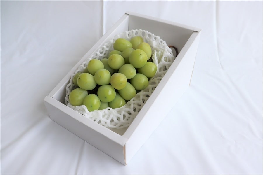 山形県産シャインマスカット 1房(約700g): 全農ライフサポート山形