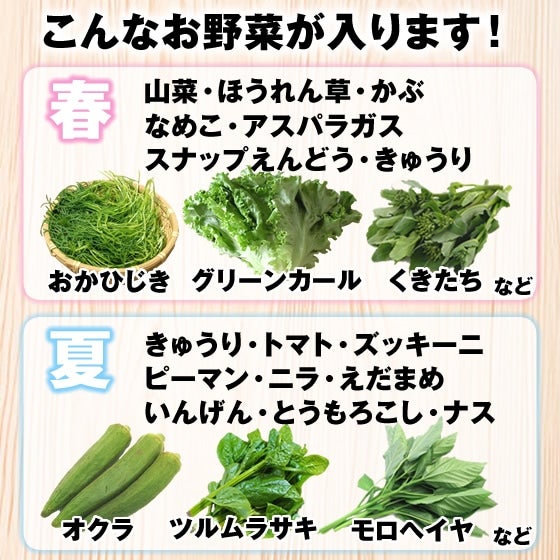山形市場厳選】おまかせ 野菜セット 7品目 野菜BOX: JAてんどう