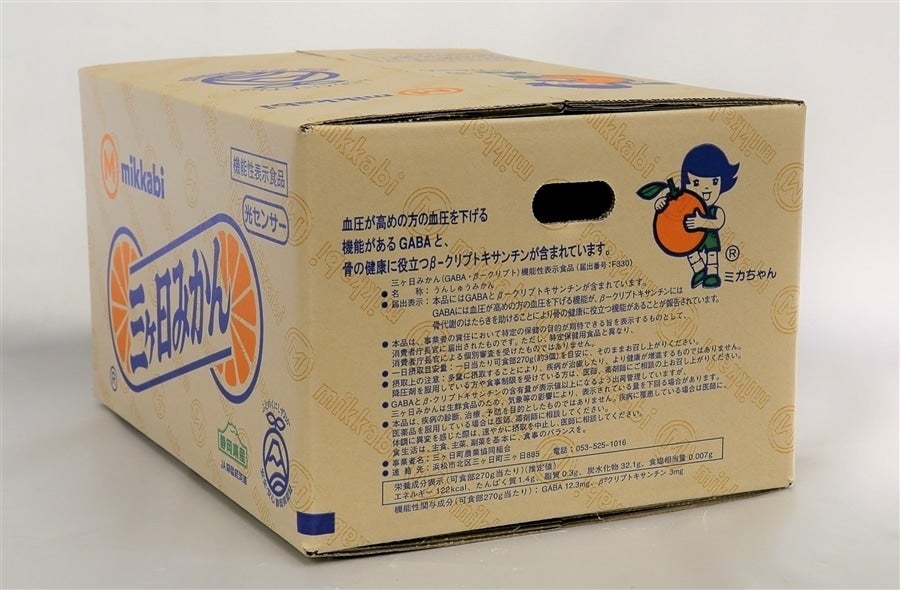 三ヶ日早生みかん（優品）M 8kg JAみっかび: しずおか『手しお屋