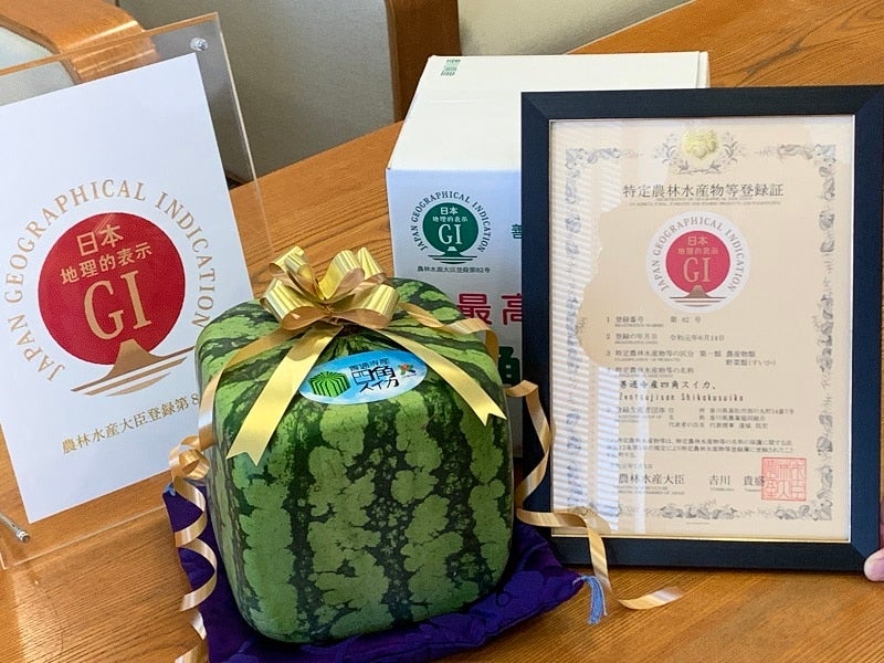 善通寺産四角スイカ 6kg （観賞用！）「お中元」: さぬき旬彩館|【JA