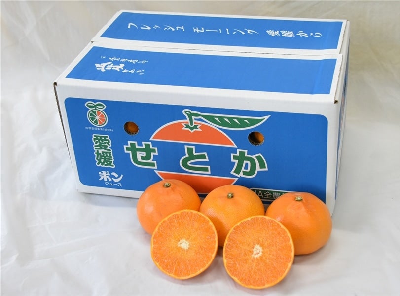 せとか」約5kg（お得用・良L～4L）JAにしうわ 【発送期間限定