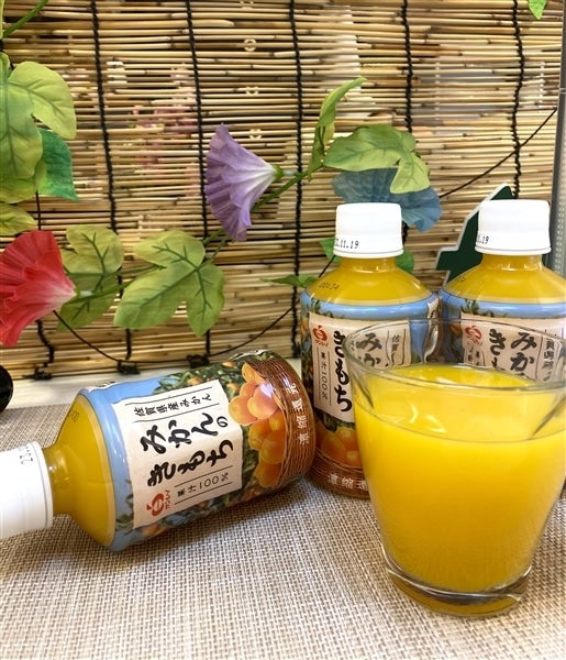 お中元 みかんのきもち 280ml×24本: さが風土館 季楽|【JAタウン