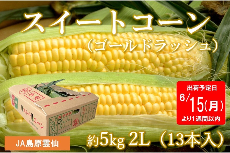予約販売】〈約5kg/2L(13本入)〉スイートコーン（ゴールドラッシュ）※6