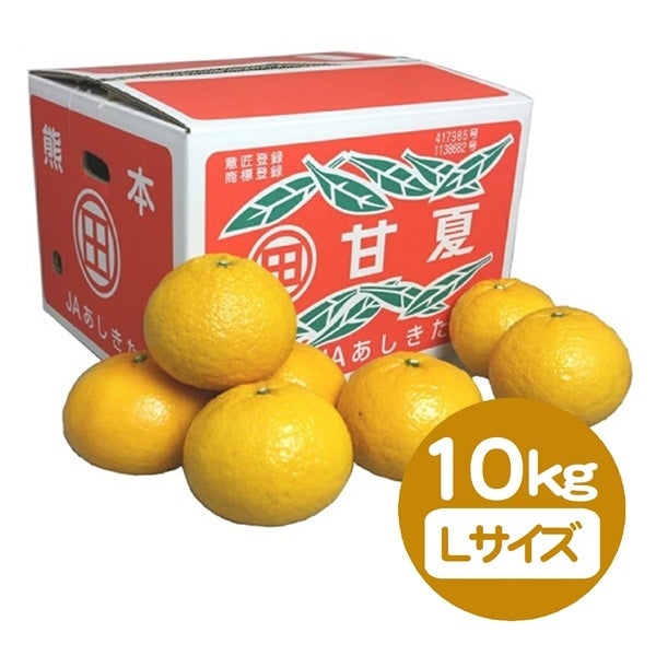 受付延長！／3月お届け】甘夏 10kg（L玉／30玉前後）: JAあしきた