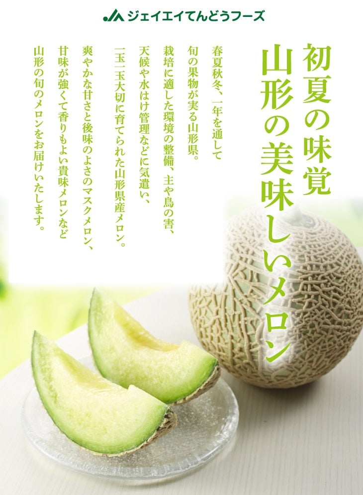 山形県庄内メロン2玉詰合せ: JAてんどうフーズ|【JAタウン】産地