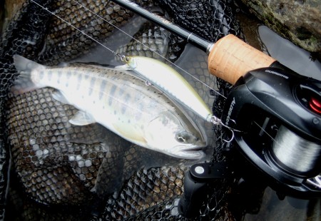 渓流ベイトフィネス - TIMON 鱒・トラウト釣り｜JACKALL｜ジャッカル