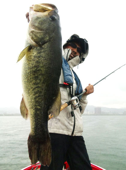 GWが終わってもアンモナイトシャッドは熱い!! - FRESH WATER バス釣り