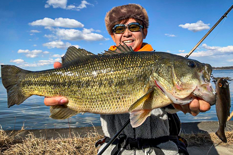 霞水系】おかっぱり×VIVIDUS の使い方/砂押友也 - FRESH WATER バス