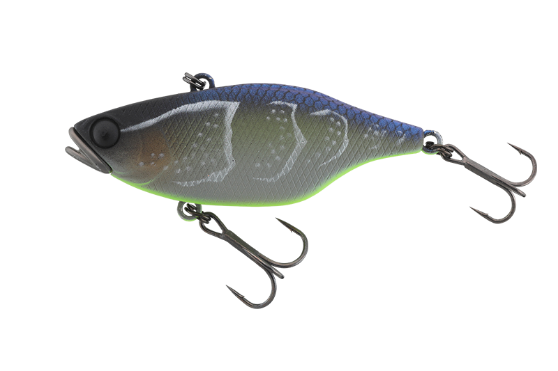 TN20th 20周年記念企画￼ - FRESH WATER バス釣り ｜JACKALL