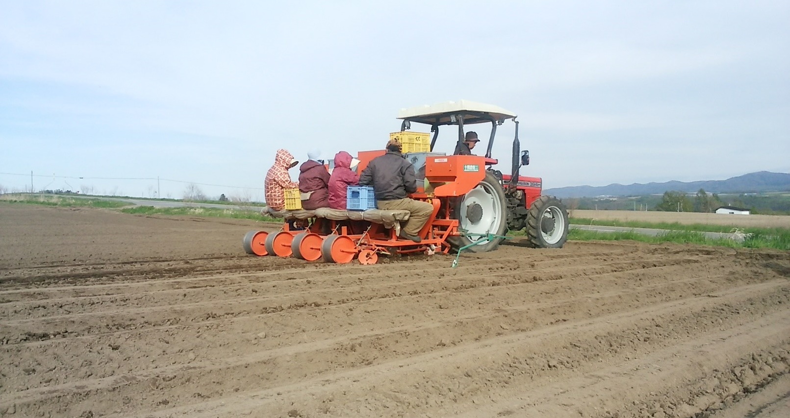 馬鈴薯（じゃがいも）の植え付け作業が行われています！ - JAきたみらい