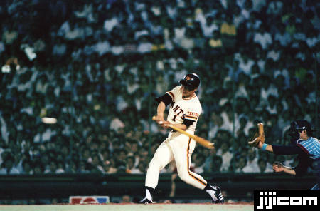 王貞治756本新記録記念バッド 王貞治756本新記録記念バッド 王貞治756