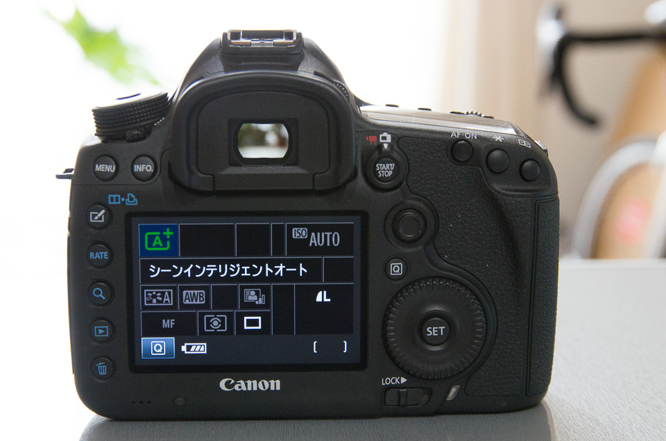 フルサイズキタ！ Canon EOS 5D Mark III + EF24-105mm F4L IS USM