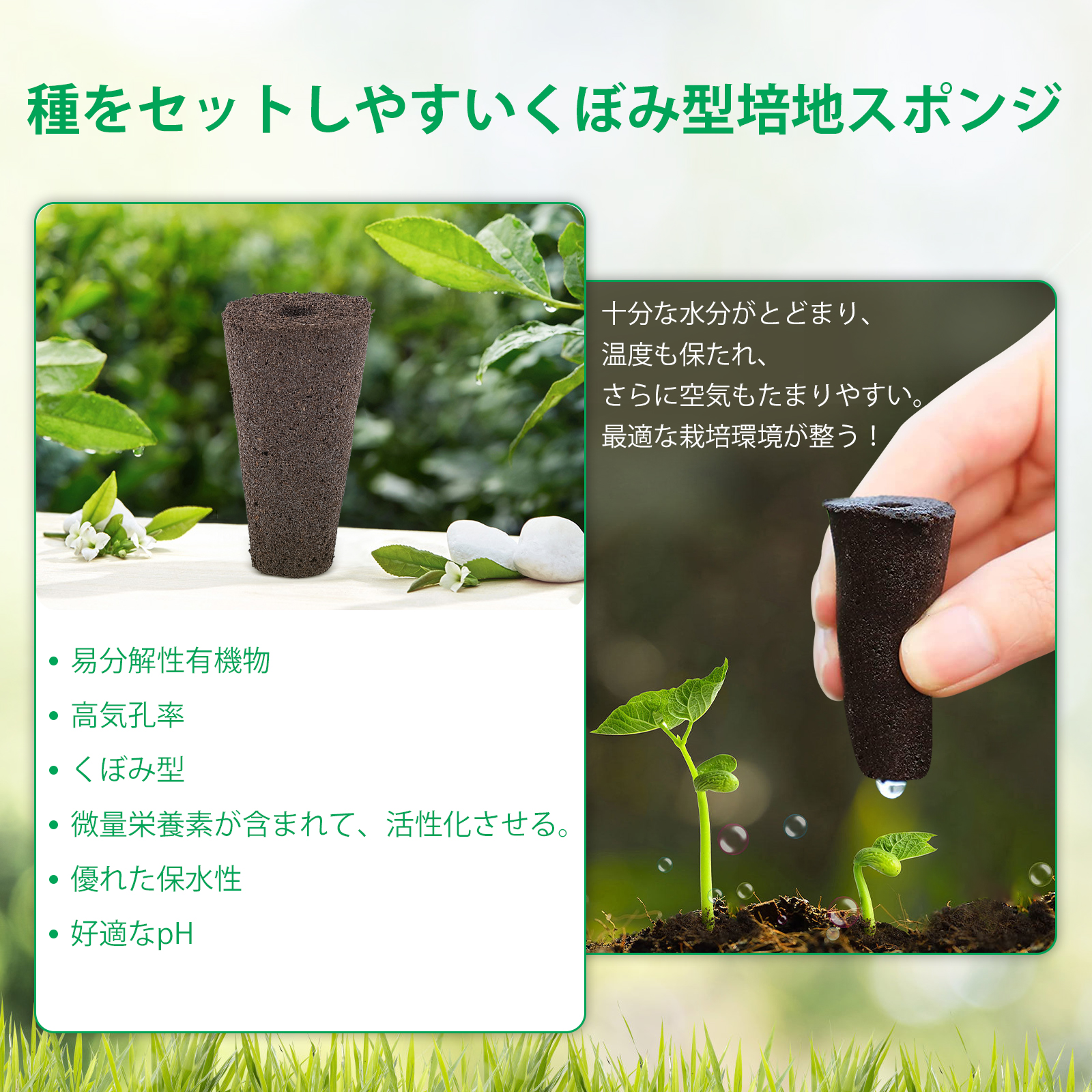 IGS-20SE用】 60個入り 水耕栽培用スポンジ 水耕栽培キット用 ウレタン