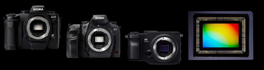 多くの写真家を魅了するSIGMA FOVEONセンサーの特長と魅力 | 公益社団