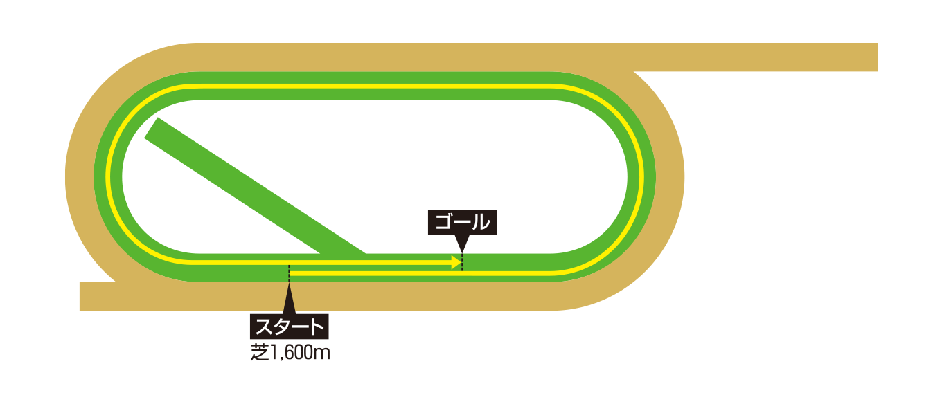 レース概要｜レース情報：2025年ブリーダーズカップマイル 海外競馬