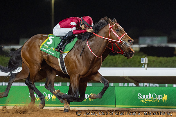 2025サウジカップ（G1）の結果 JRA