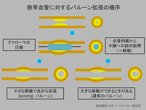 中医弁証 臨床マニュアル V 心血管、循環器系、呼吸器系 西川修著 中医