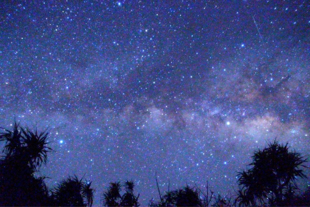 夜空を見上げると - OKINAWA41