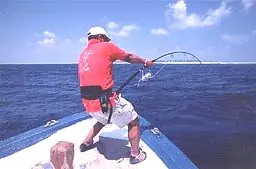 オフショアスティック GTK-66SJ - 37,900円 : 海釣り、船釣り専門店の