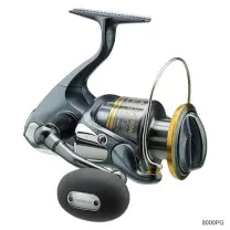 アセレーション SW［ACERATION SW］ 8000HG - 11,700円 : 海釣り、船