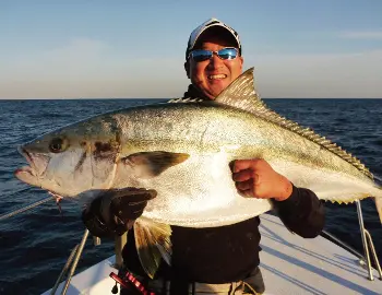 ソルティガ コースタル 57S-5／6・F ソルティガ コースタル 57S-5／6