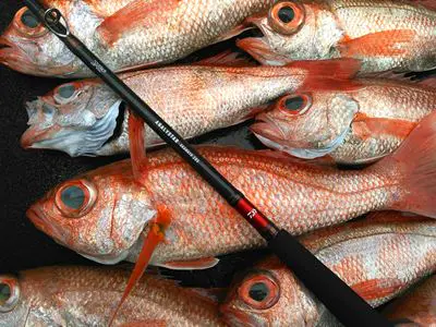 アナリスター アカムツ205 - 24,000円 : 海釣り、船釣り専門店の沖三昧