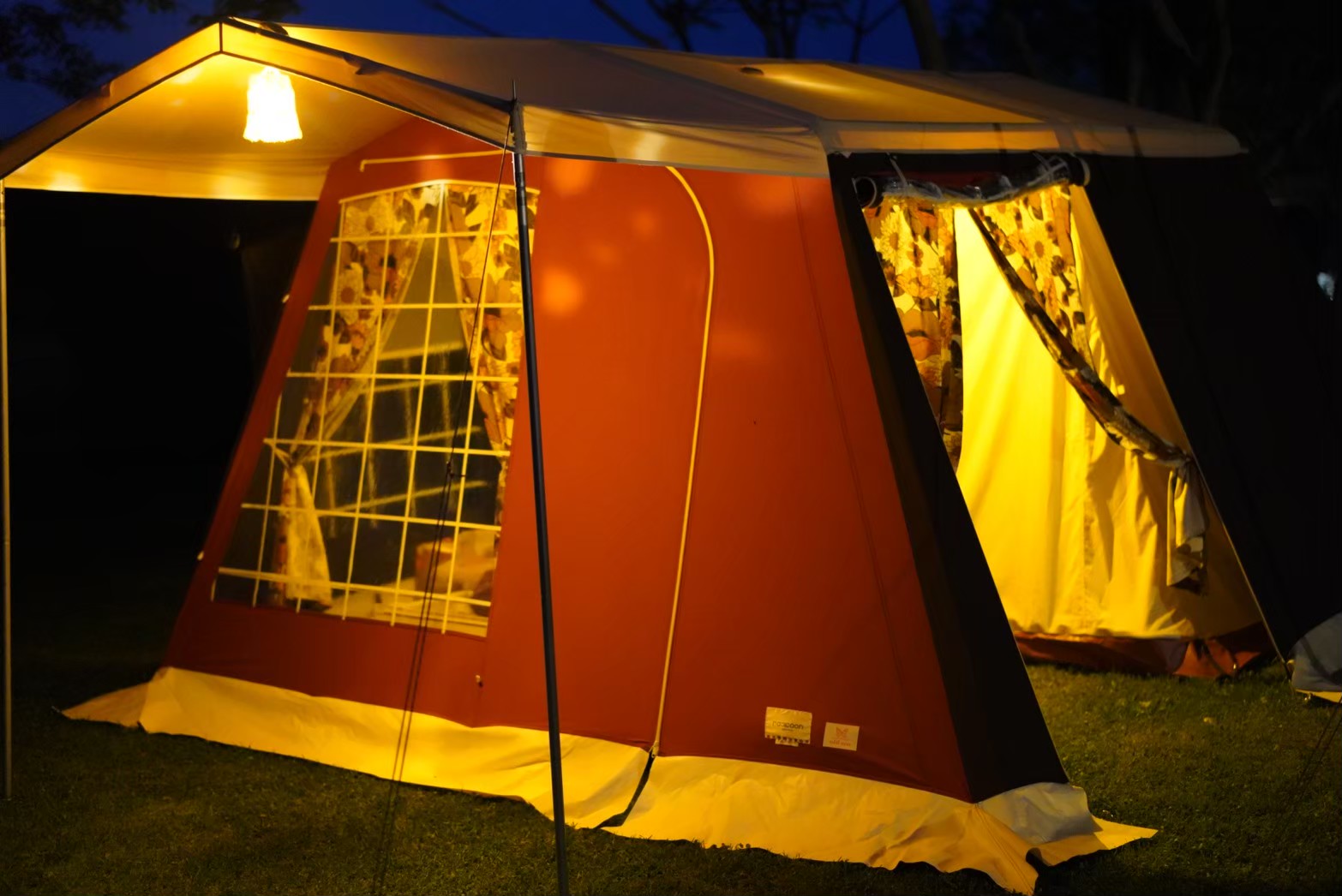 raccoon5 oldsea別注カラー