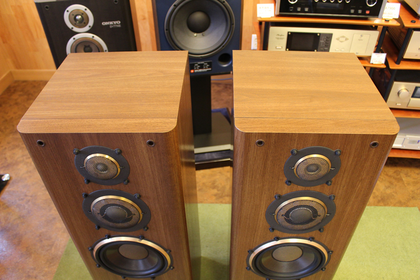 中古品】DIATONE/スピーカー/DS-1000C(ペア) 高級オーディオ,ピュア