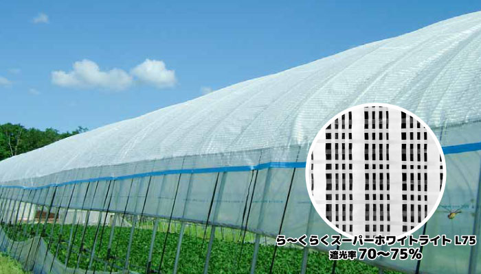 農業用遮光ネットの効果とは？遮光率や色・織り方・編み方種類と遮光