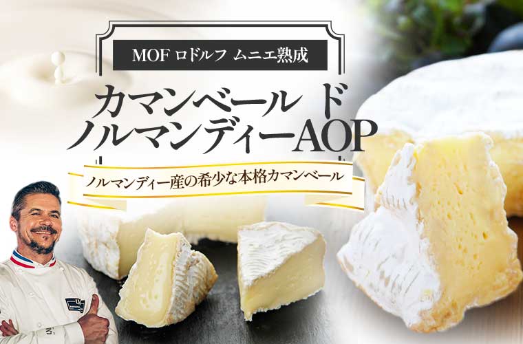 カマンベールブライデル 8P / 世界のチーズ専門店オーダーチーズ