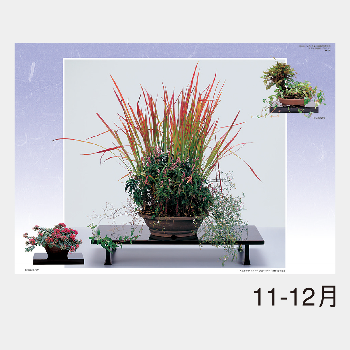 ☆*読様 盆栽道具セット 小品盆栽 山野草 盆栽道具 （兼進作） 6点