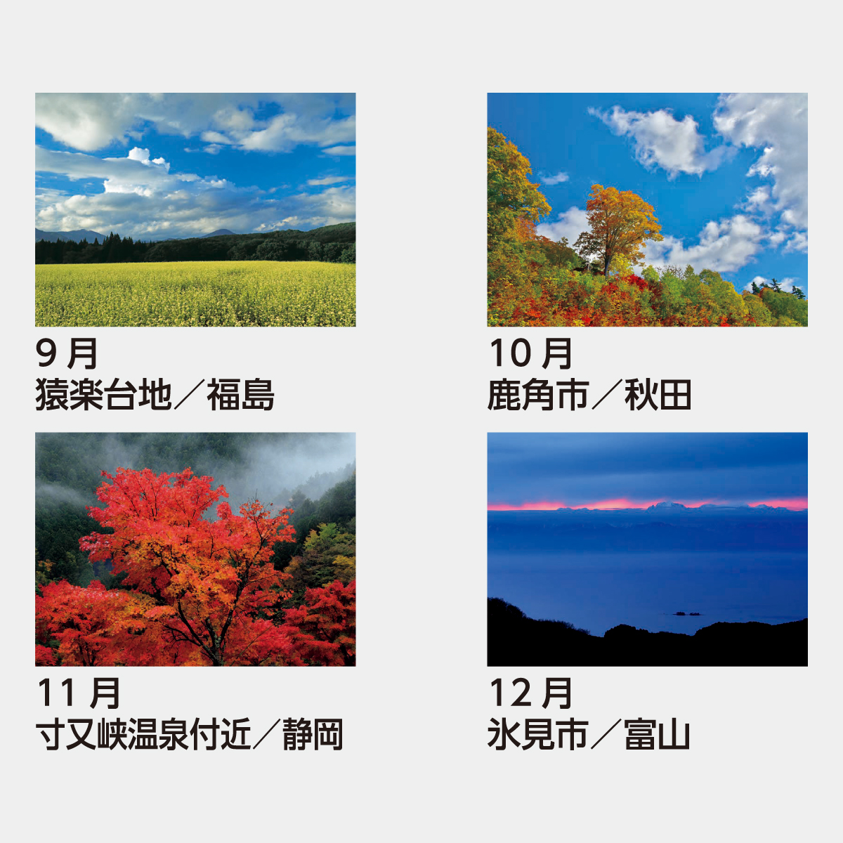 SB-098 川隅功 作品集(彩風)2026年版の名入れカレンダーを格安で販売