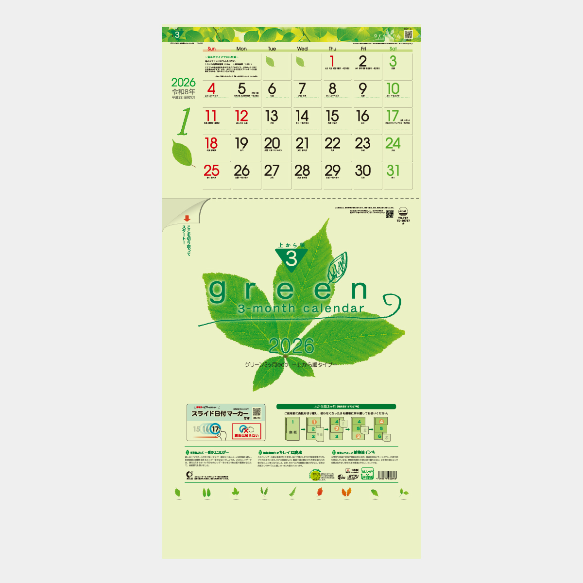 TD-787 グリーン3ヶ月eco(上から順タイプ)2026年版の名入れカレンダー