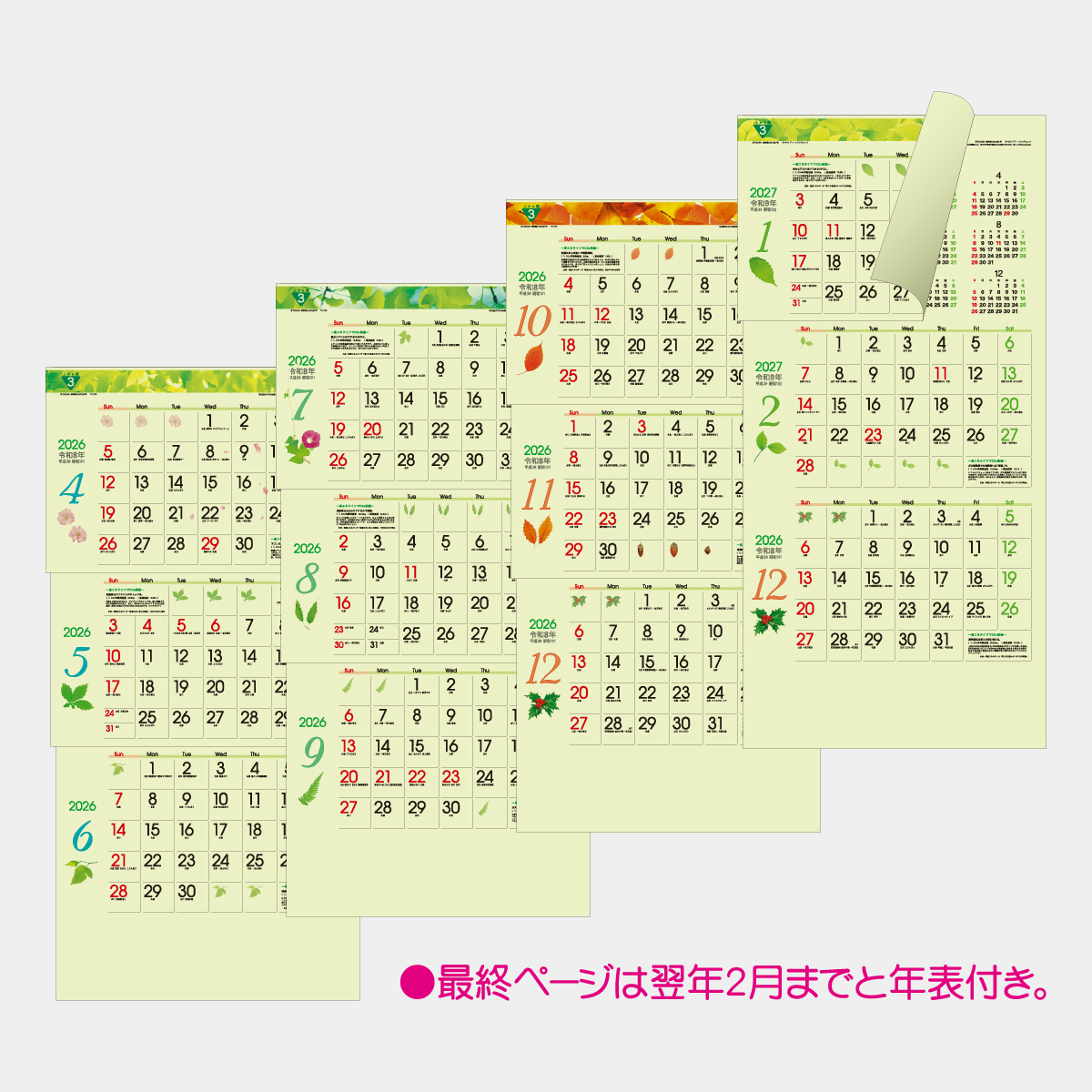 TD-975 グリーン3ヶ月eco S(上から順)2026年版の名入れカレンダーを