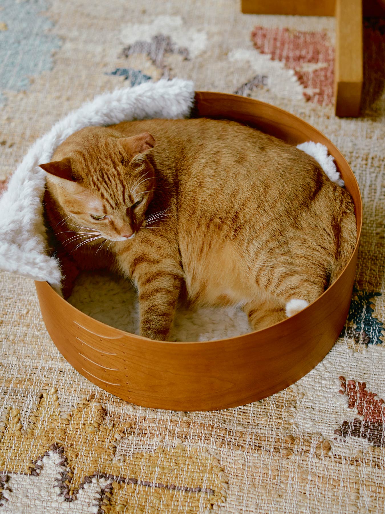 オルネコ・シェーカーネコベッド｜オルネコ（ベッド・ハウス）｜オルネ