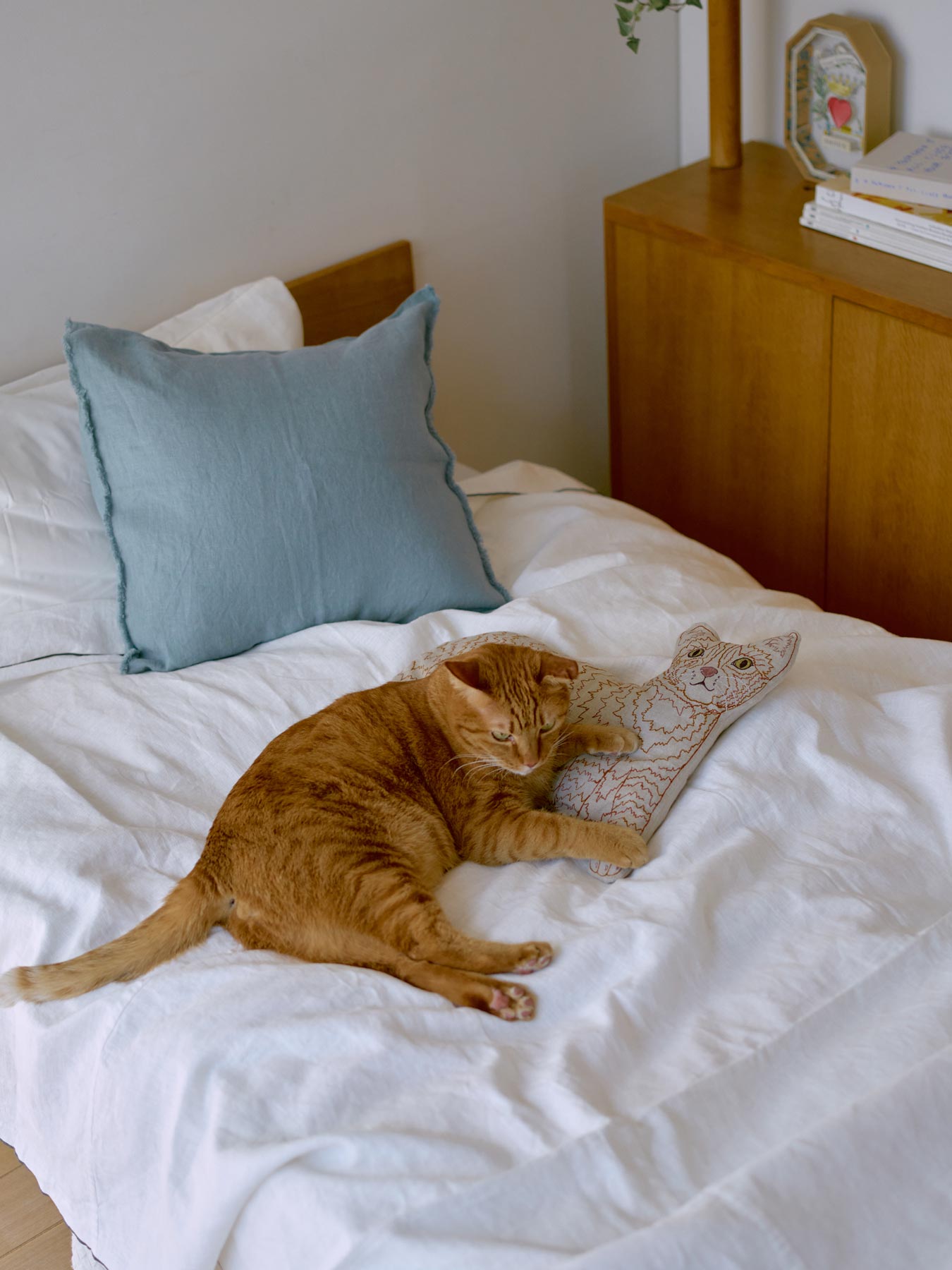 Coral & Tusk × Orneko ネコクッション｜オルネコ（クッション・マット