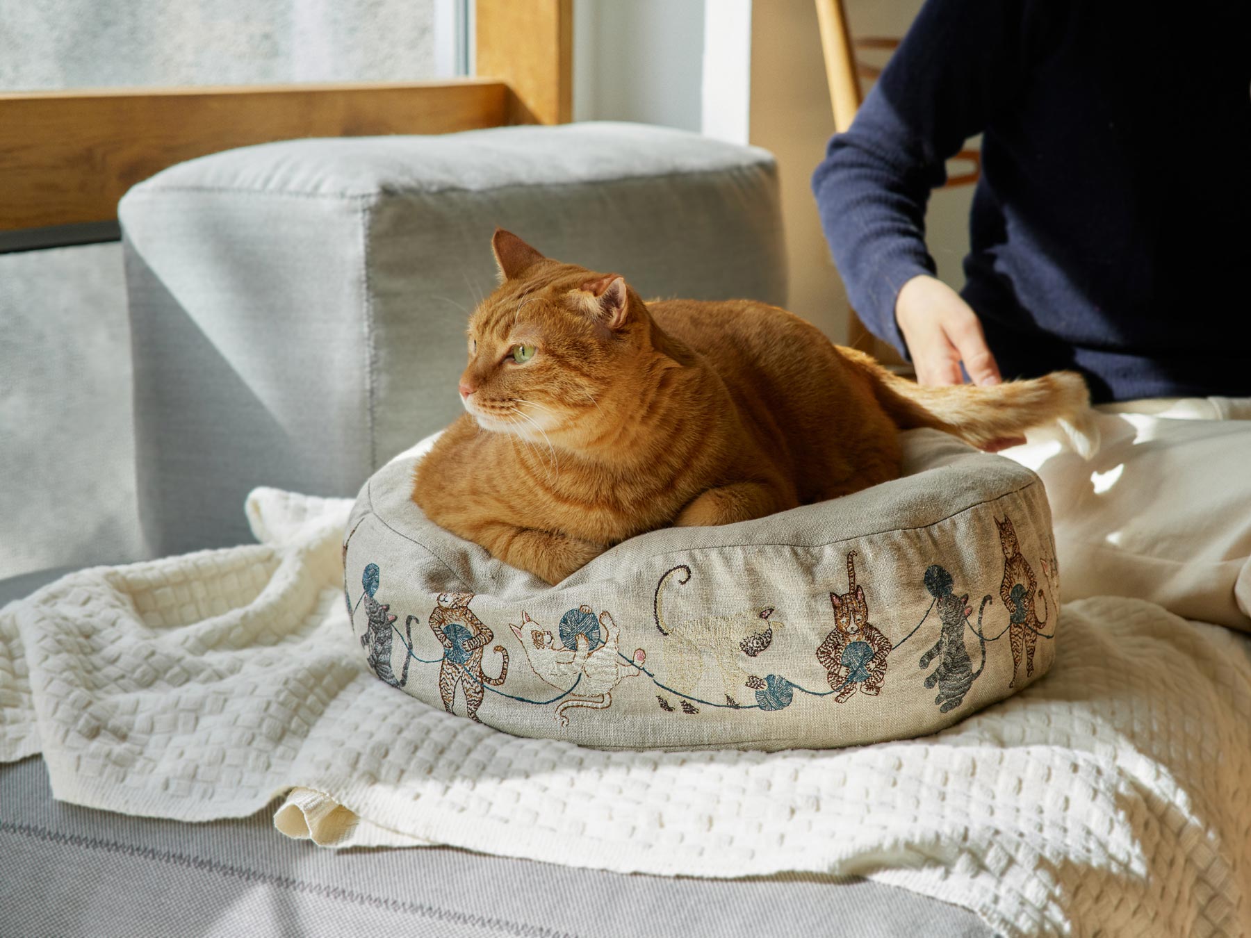 受注販売】Coral & Tusk × Orneko ラウンドネコベッド｜オルネコ