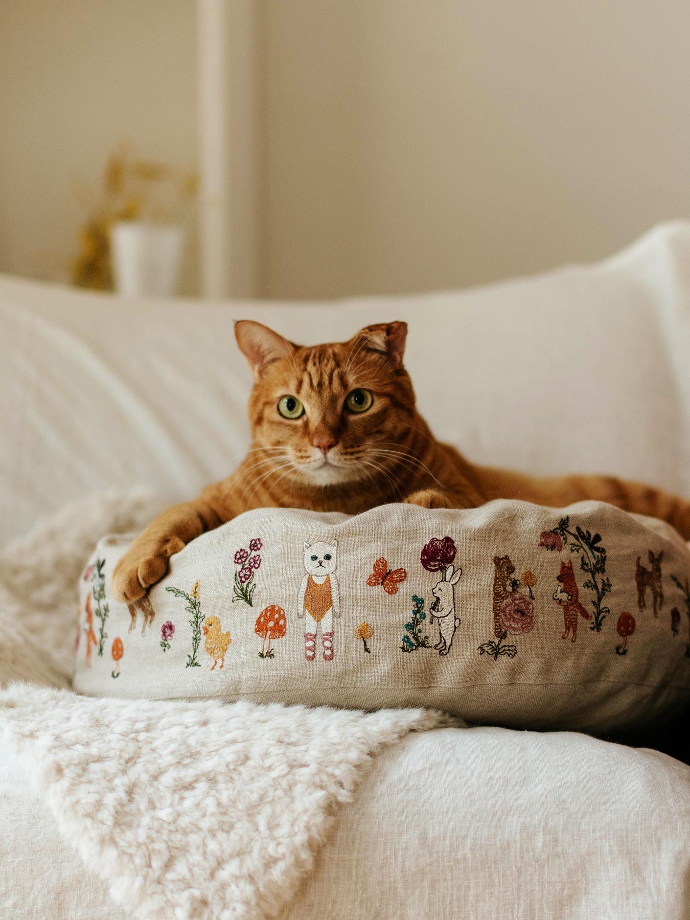 cot0003_gl10.jpg?v=1760430745&