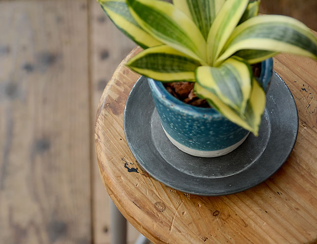 シャビー ラウンドトレイ ブリキトレイ | ゼネラルストア オルネ