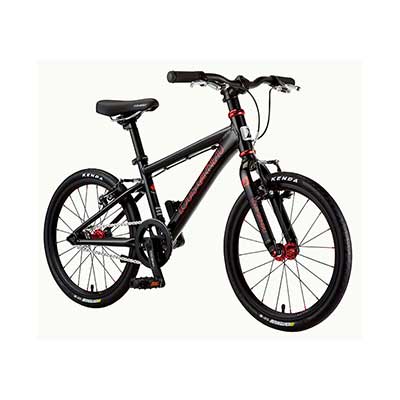 LOUIS GARNEAU / ルイガノ / K18 ADVANCED / 大人顔負けの超軽量