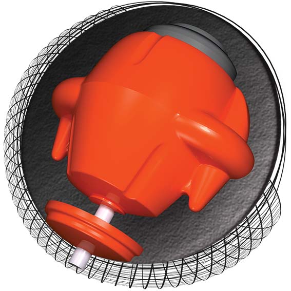 LEGEND ピュア エンヴィー