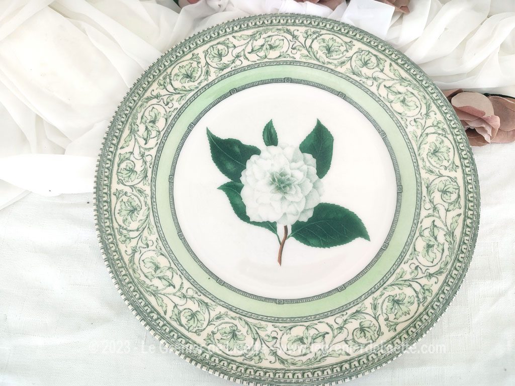 Assiette plate The Royal Horticultural Society Applebee Collection