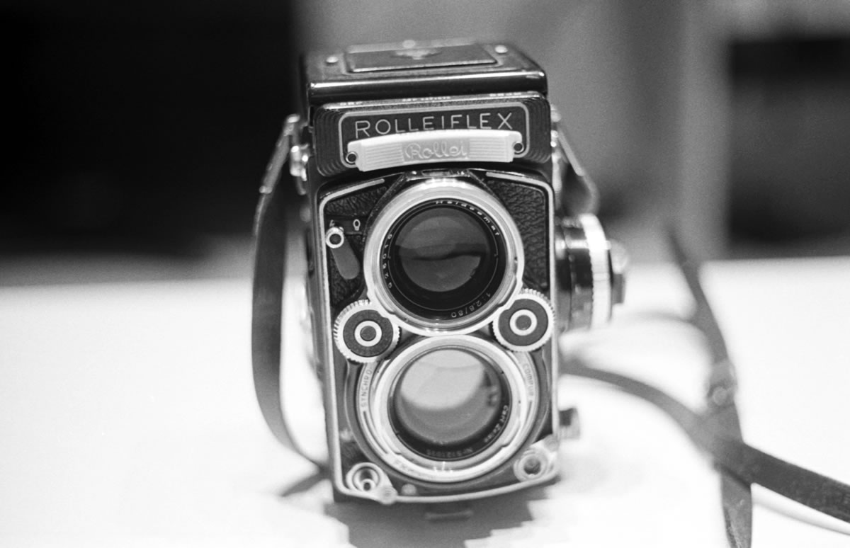 ライカで寄れるって素晴らしい。DR Summicron 1:2/50mm | LEICA