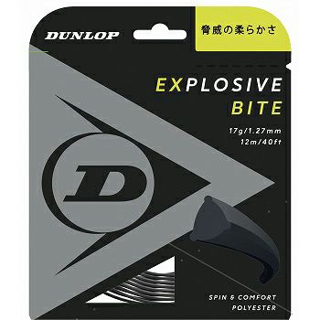 2025年モデル】ダンロップ(DUNLOP) テニスラケット 2025 エスエックス